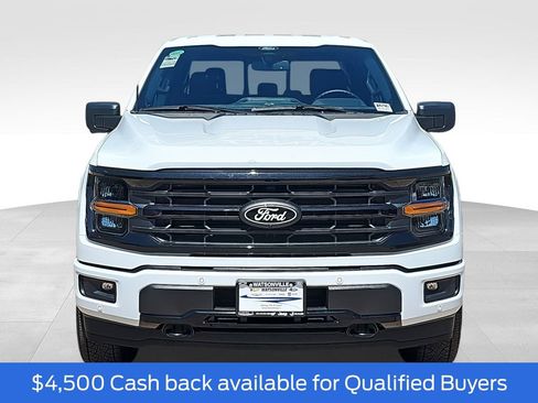 New 2025 Ford F150 XLT w/ Equipment Group 302A MID image 8