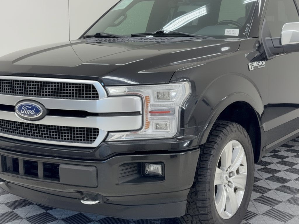 Used 2019 Ford F150 Platinum w/ Equipment Group 701A Luxury AWD/4WD image 12