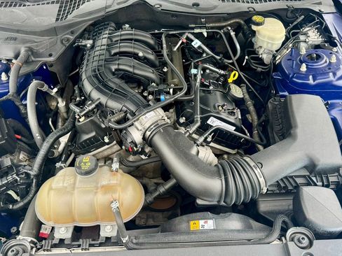 Used 2015 Ford Mustang Coupe w/ Equipment Group 051A image 19