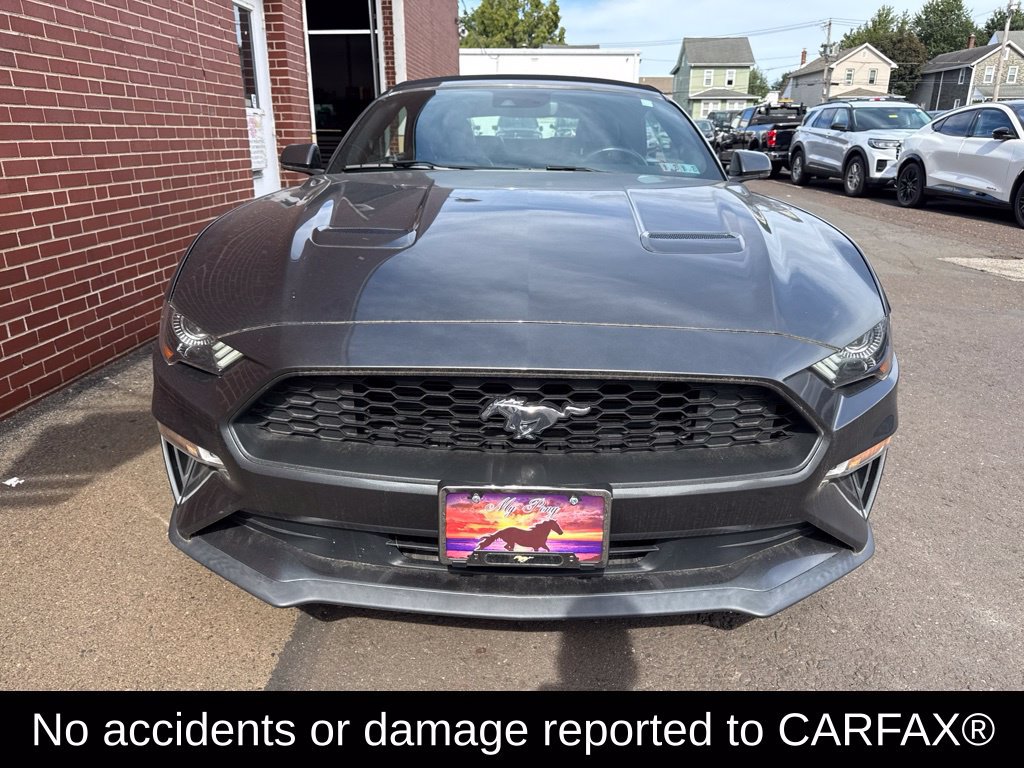 Used 2019 Ford Mustang Premium w/ Equipment Group 201A RWD image 2