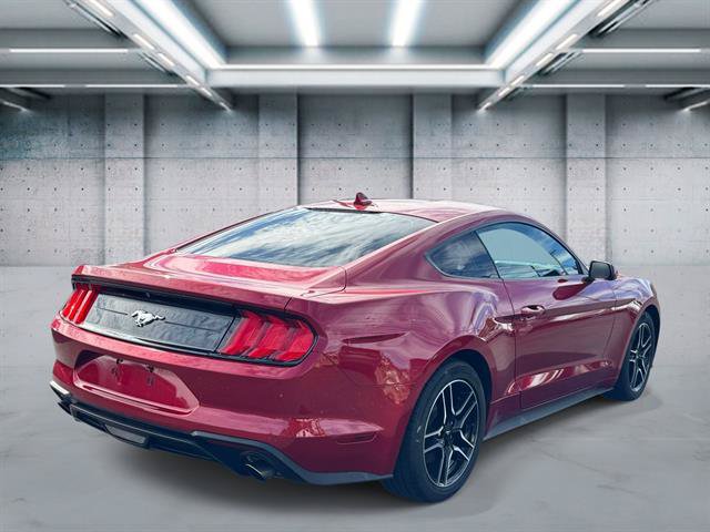 Used 2021 Ford Mustang Coupe w/ Equipment Group 101A RWD image 5