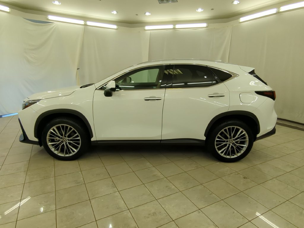 Certified 2026 Lexus NX 350 AWD w/ Accessory Package (2T) image 5