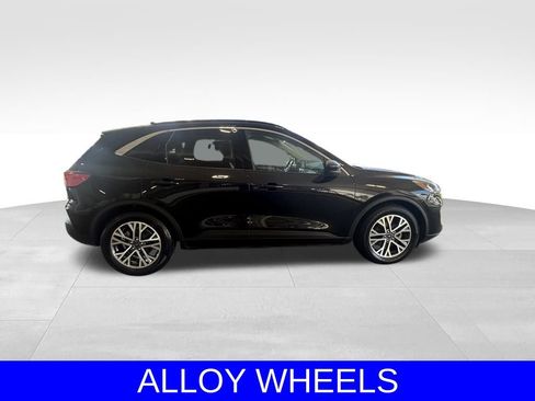 Certified 2020 Ford Escape SEL image 3