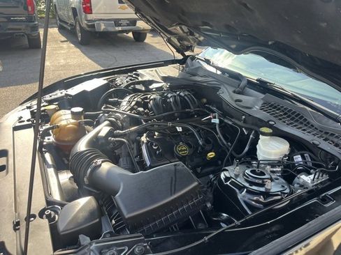 Used 2015 Ford Mustang Coupe w/ Equipment Group 051A image 10