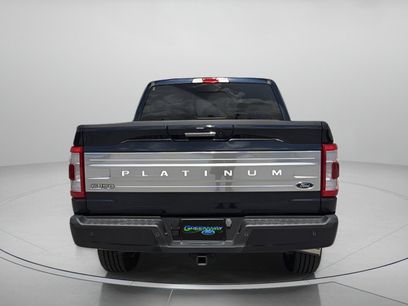 Used 2023 Ford F150 Platinum w/ Equipment Group 701A High
