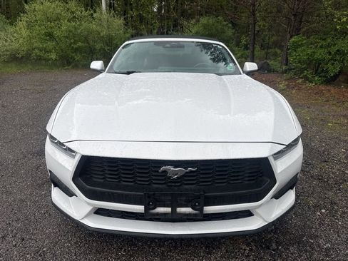 Used 2024 Ford Mustang Premium RWD image 2