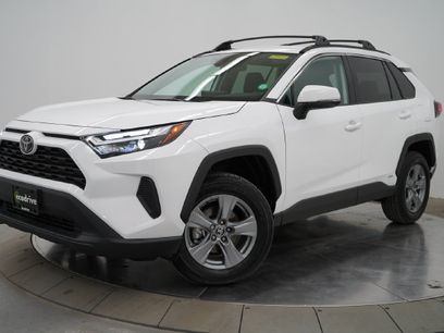Used 2025 Toyota RAV4 XLE