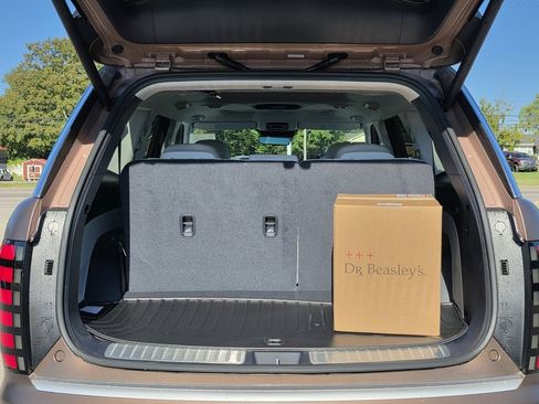 New 2026 Hyundai Palisade Calligraphy image 16