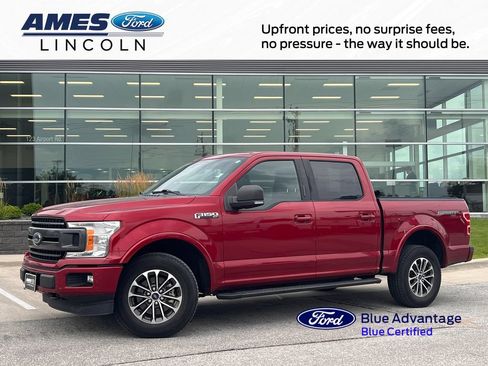 Used 2019 Ford F150 XLT w/ Equipment Group 302A Luxury AWD/4WD image 1