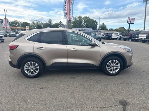 Used 2021 Ford Escape SE AWD/4WD image 2