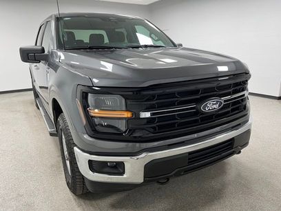 Used 2025 Ford F150 XLT w/ Equipment Group 301A Standard