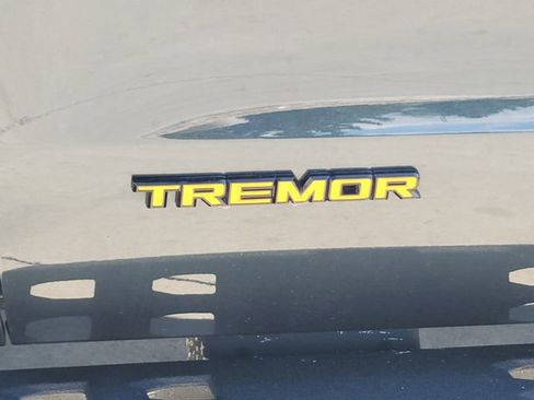Used 2025 Ford Expedition Tremor AWD/4WD image 15