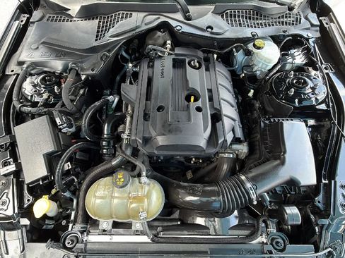 Used 2018 Ford Mustang Premium w/ Equipment Group 201A RWD image 20