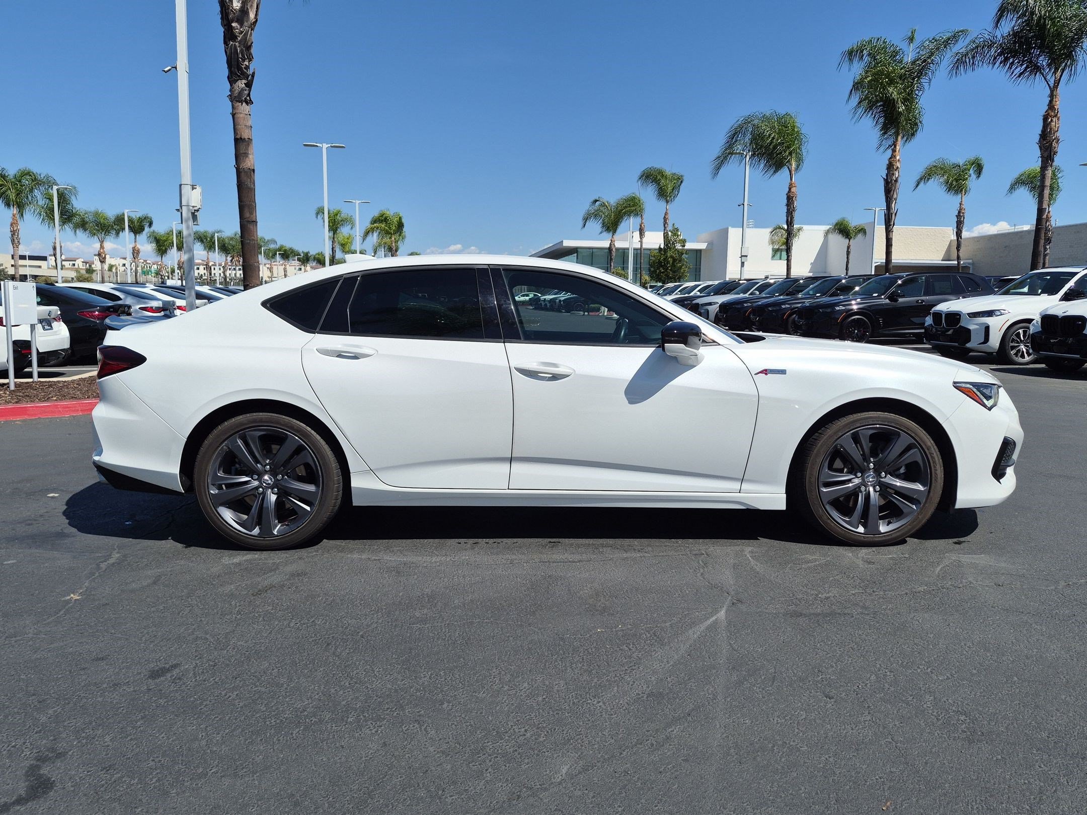 Used 2023 Acura TLX w/ A-SPEC Package AWD/4WD image 11