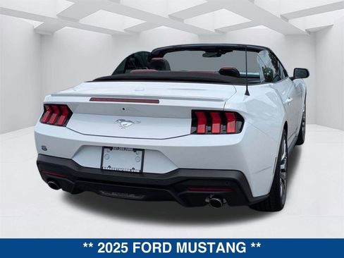 New 2025 Ford Mustang Premium image 5
