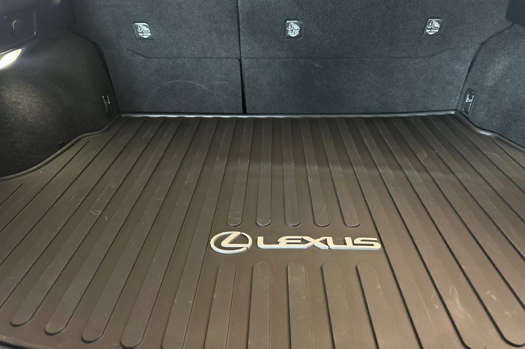 Used 2025 Lexus UX 300h FWD w/ Cold Area Package image 15