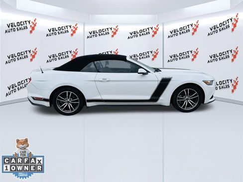 Used 2017 Ford Mustang Premium w/ Equipment Group 201A image 14