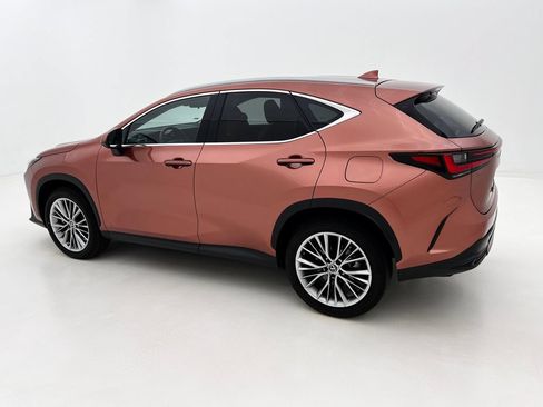 Used 2025 Lexus NX 350 AWD w/ Cold Area Package image 10