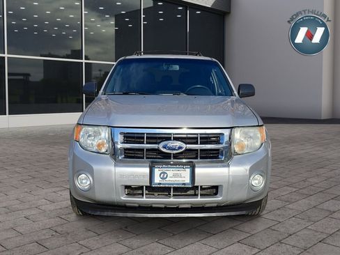 Used 2010 Ford Escape XLT image 8