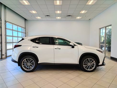 Used 2022 Lexus NX 350h AWD w/ Vision Package image 2