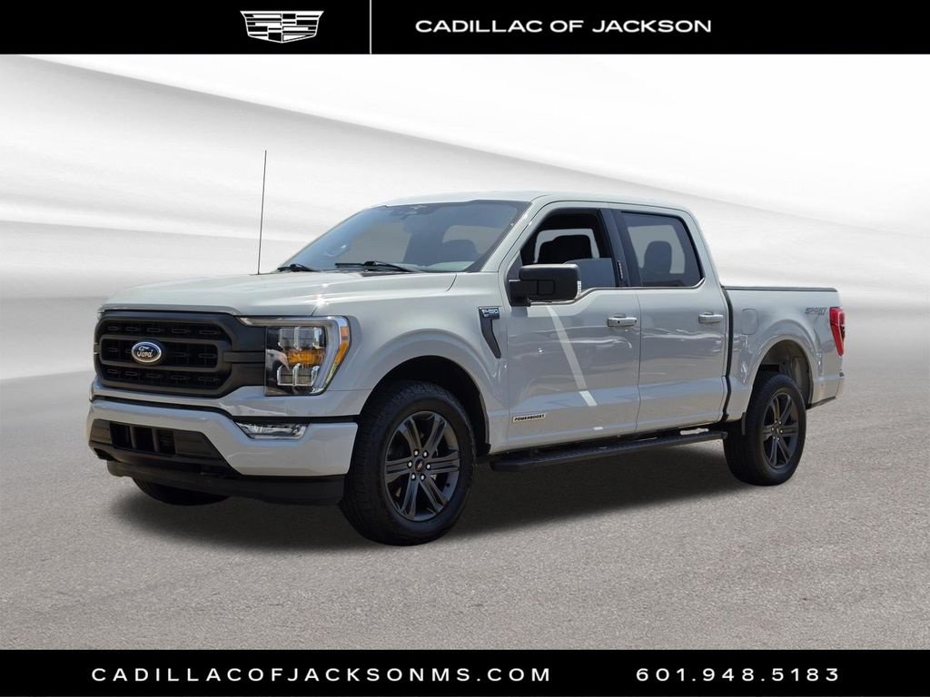 Used 2023 Ford F150 XLT w/ Equipment Group 302A High AWD/4WD image 1