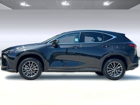 Certified 2024 Lexus NX 350h AWD w/ Vision Package image 2