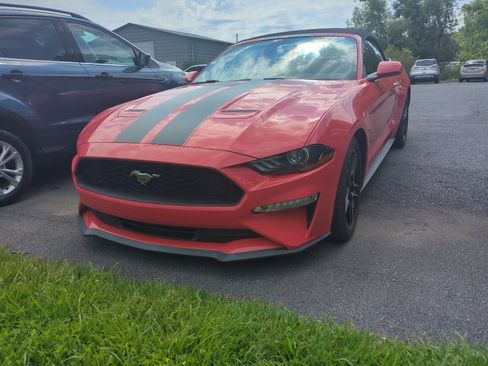 Used 2020 Ford Mustang Premium RWD image 1