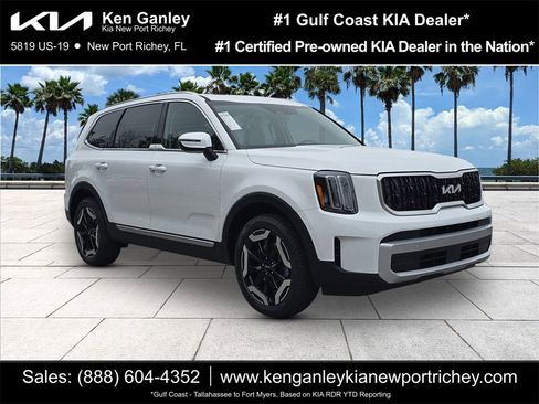 New 2025 Kia Telluride EX image 1