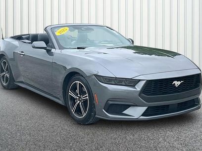 Used 2025 Ford Mustang Premium