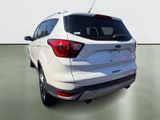 Used 2019 Ford Escape Titanium image 3