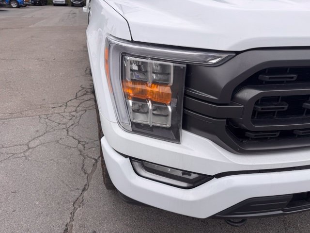 Used 2023 Ford F150 XLT w/ Equipment Group 302A High AWD/4WD image 10