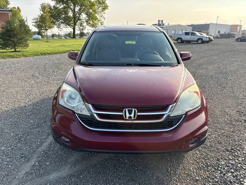 Used 2010 Honda CR-V EX-L image 2