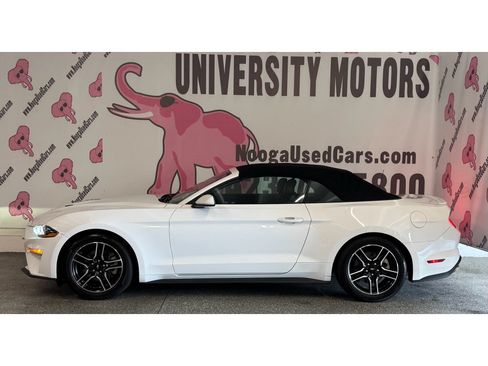 Used 2022 Ford Mustang Premium RWD image 9