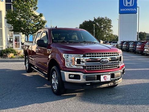 Used 2019 Ford F150 XLT w/ Equipment Group 302A Luxury AWD/4WD image 1