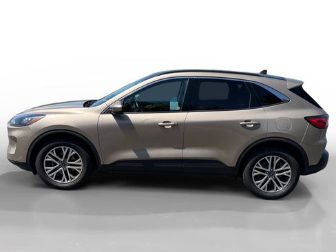 Used 2021 Ford Escape SEL image 2