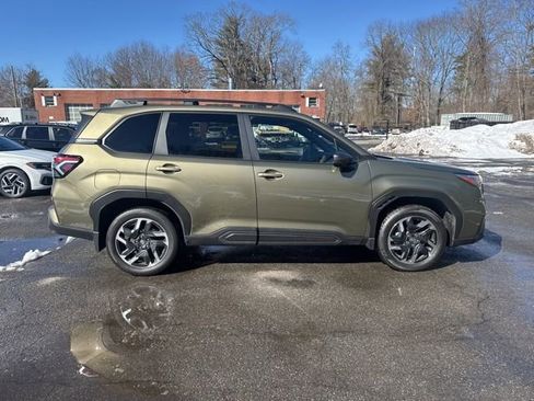 Used 2025 Subaru Forester Limited image 2