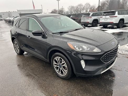 Used 2020 Ford Escape SEL image 5
