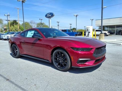 New 2025 Ford Mustang Premium w/ Mustang Nite Pony Package image 3