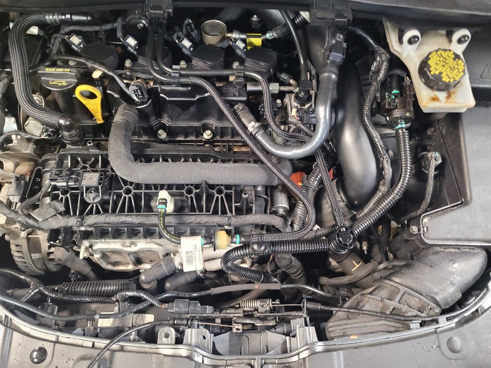 Used 2019 Ford Escape SE FWD image 30