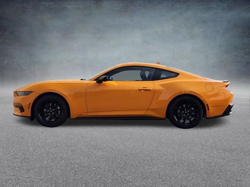 New 2026 Ford Mustang Coupe w/ Mustang Nite Pony Package RWD image 5