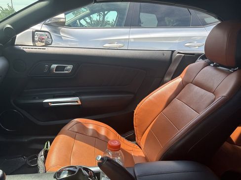 Used 2019 Ford Mustang Premium RWD image 5