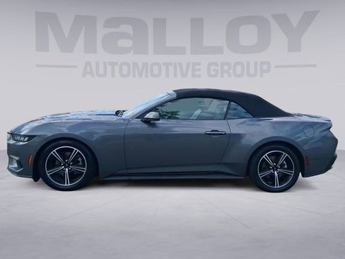 Used 2024 Ford Mustang Premium RWD image 2