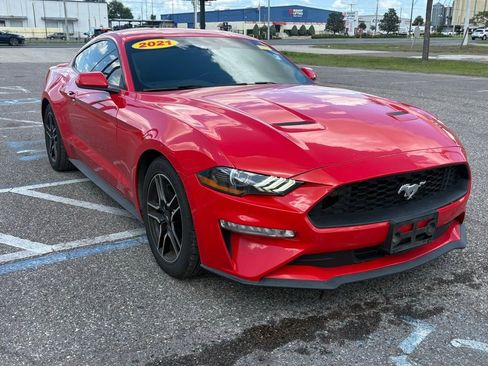Used 2021 Ford Mustang Premium image 1