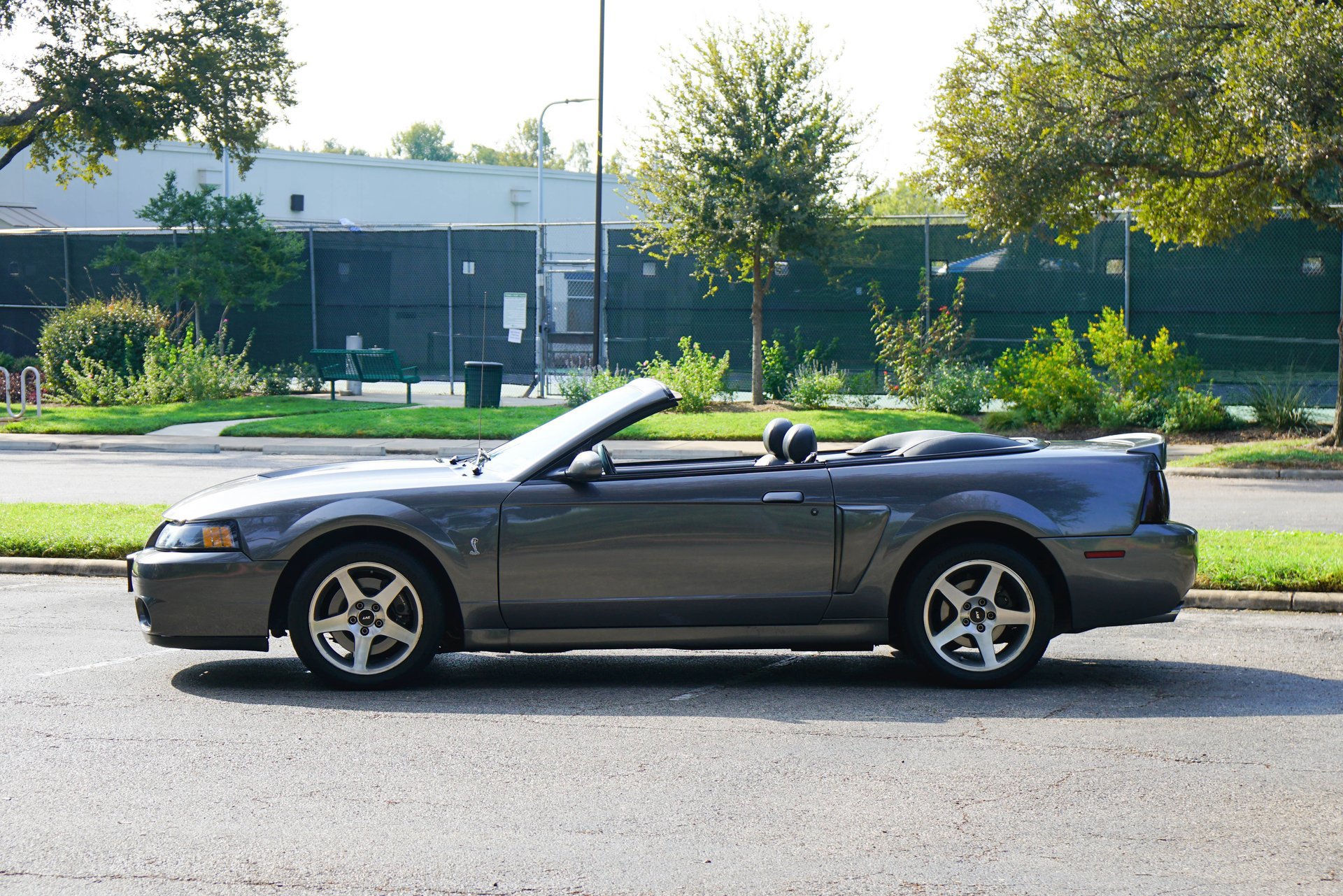 Used 2003 Ford Mustang Cobra RWD image 5