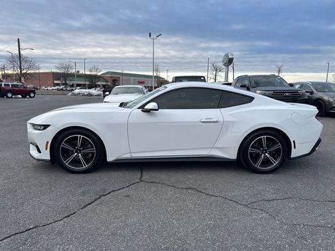 Used 2024 Ford Mustang Premium image 2