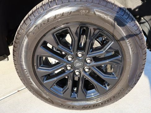 Used 2025 Ford F150 XLT w/ Equipment Group 302A MID image 52