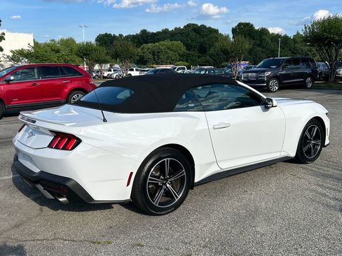 Used 2025 Ford Mustang Premium RWD image 6