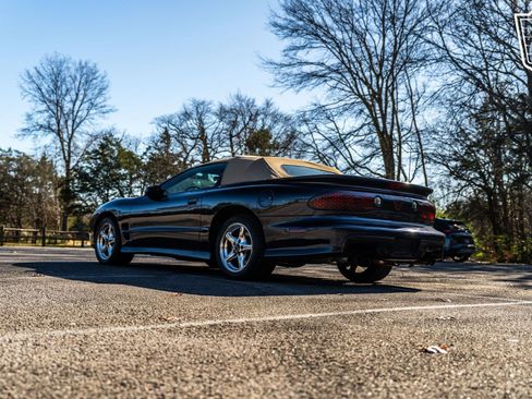 Used 2000 Pontiac Firebird Trans Am image 19