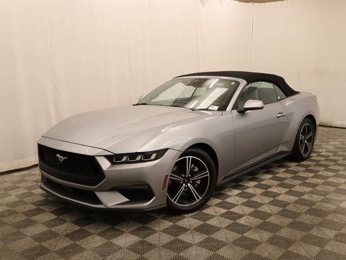 Used 2024 Ford Mustang Premium RWD image 1