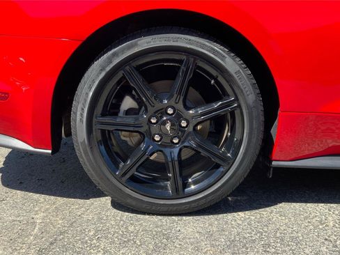 Used 2019 Ford Mustang Convertible w/ Equipment Group 101A RWD image 25